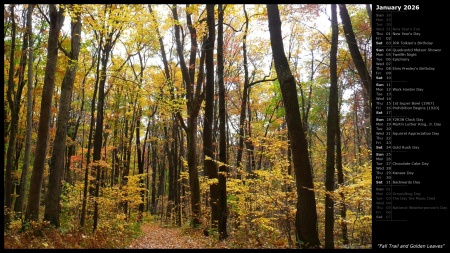 Fall Trail and Golden Leaves