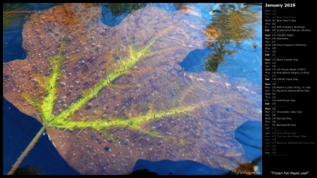 Frozen Fall Maple Leaf