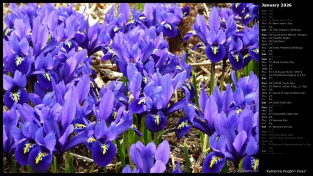 Katherine Hodgkin Irises