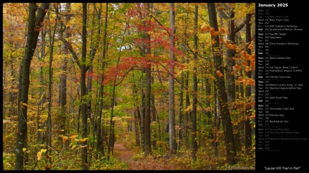 Laurel Hill Trail in Fall