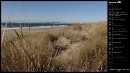 Limantour Beach at Point Reyes II