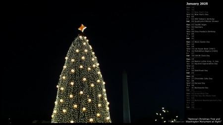 National Christmas Tree and Washington Monument at Night