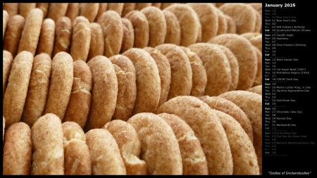 Oodles of Snickerdoodles