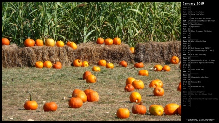 Pumpkins, Corn and Hay