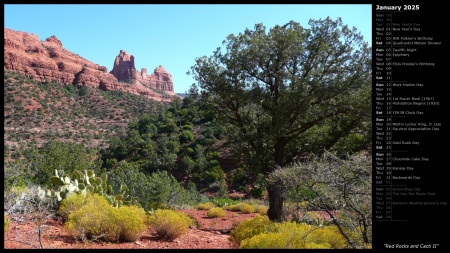 Red Rocks and Cacti II