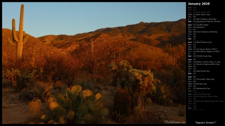 Saguaro Sunset I