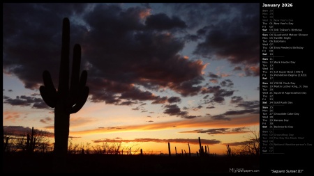 Saguaro Sunset III