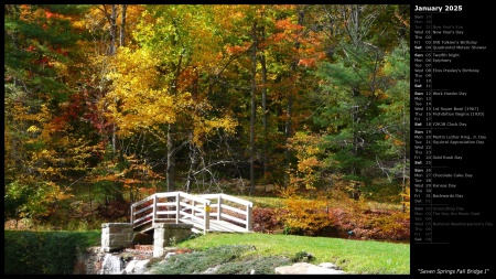 Seven Springs Fall Bridge I