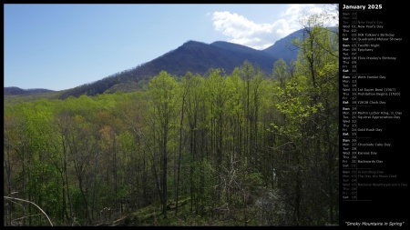 Smoky Mountains in Spring