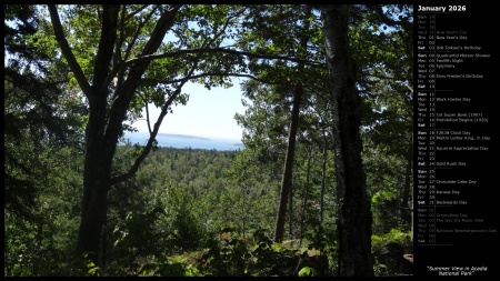 Summer View in Acadia National Park