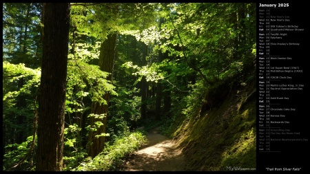 Trail from Silver Falls