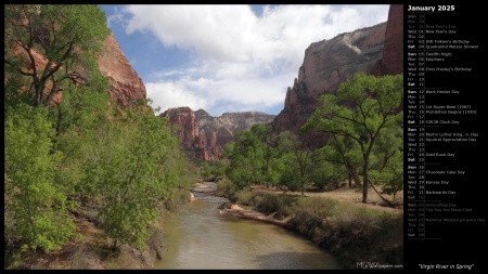 Virgin River in Spring