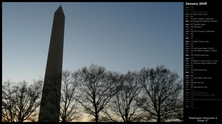 Washington Monument in Winter II