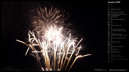 White and Gold Fireworks I