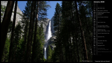 Yosemite Falls and Woods