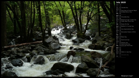 Bridalveil Creek