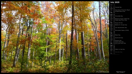 Fall Forest I