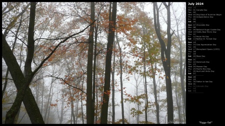 Foggy Fall