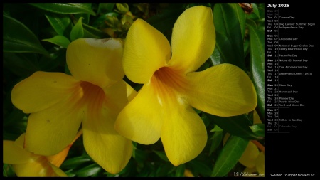 Golden Trumpet Flowers II