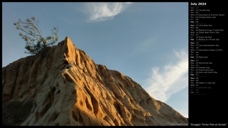 Scraggly Torrey Pine at Sunset