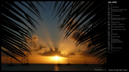 Sunset Through Palm Fronds