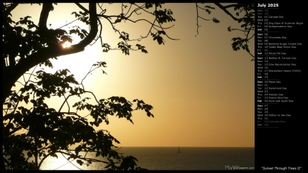 Sunset Through Trees II