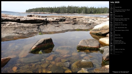 Tidepool at Wonderland