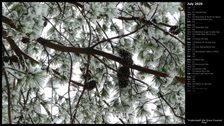 Underneath the Snow Covered Pine