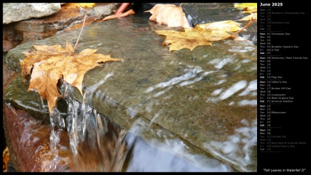 Fall Leaves in Waterfall II
