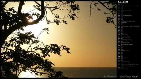 Sunset Through Trees II