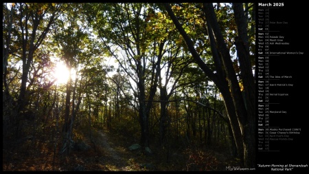 Autumn Morning at Shenandoah National Park