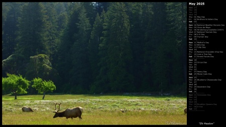 Elk Meadow