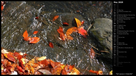 Fall Leaves in Waterfall