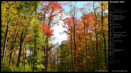 Fall Trees and Blue Sky