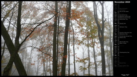 Foggy Fall