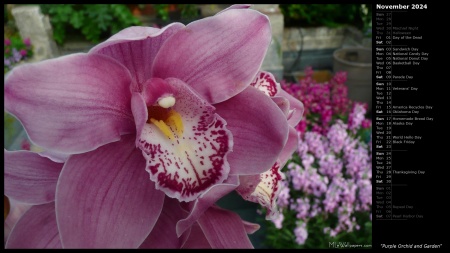 Purple Orchid and Garden