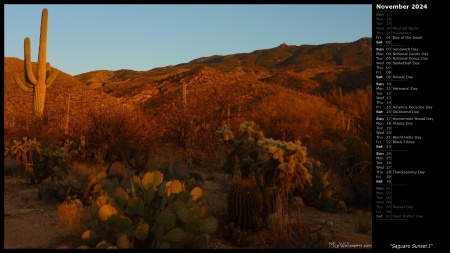 Saguaro Sunset I