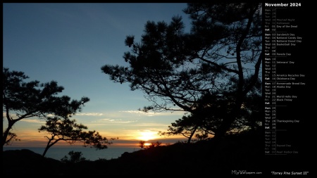 Torrey Pine Sunset III