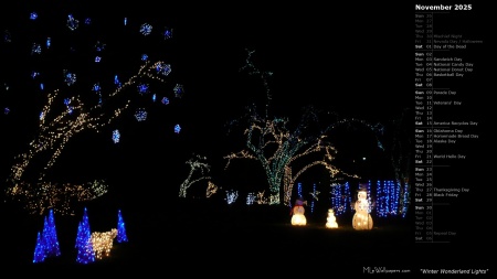 Winter Wonderland Lights