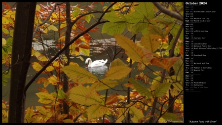 Autumn Pond with Swan