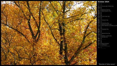 Branches of Yellow Leaves