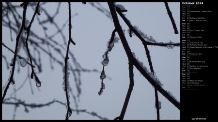 Icy Branches