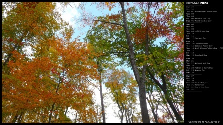 Looking Up to Fall Leaves I