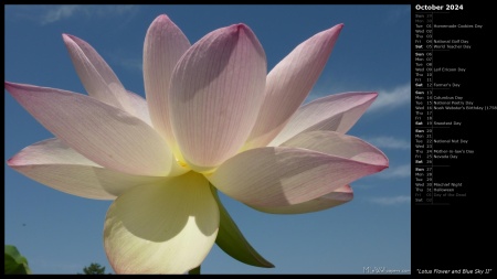 Lotus Flower and Blue Sky II