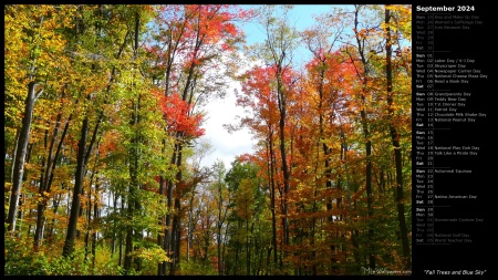 Fall Trees and Blue Sky