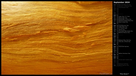 Pine Wood I