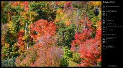 Fall Hillside