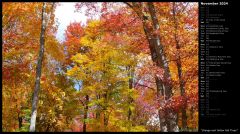 Orange and Yellow Fall Trees