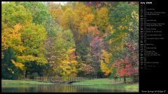 Seven Springs Fall Bridge II