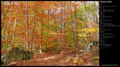 Sunlight Dappled Fall Trail